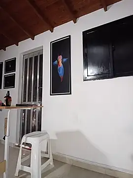 SilvaBranko webcam