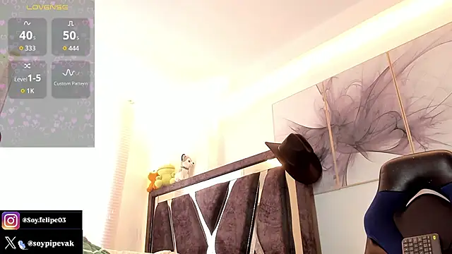 soyander03_ webcam
