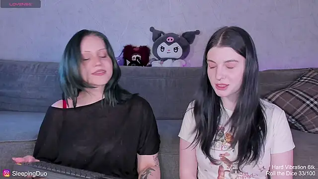 SleepingDuo webcam