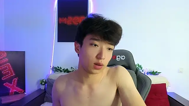 DianInav webcam