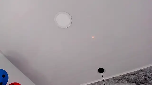 Kendall_Rous_ webcam