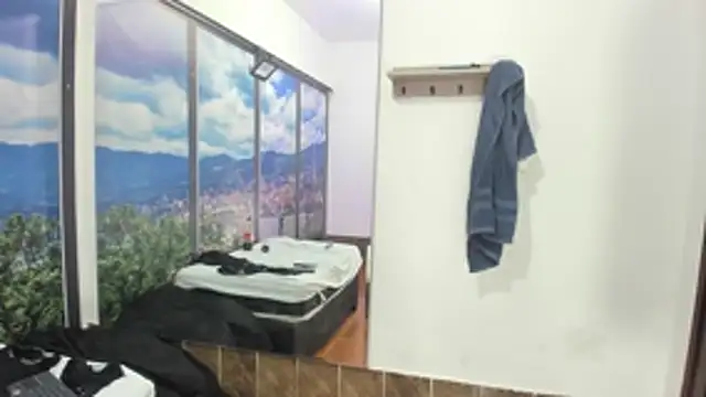 DilanAndKing webcam