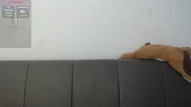 Ms-zozii webcam