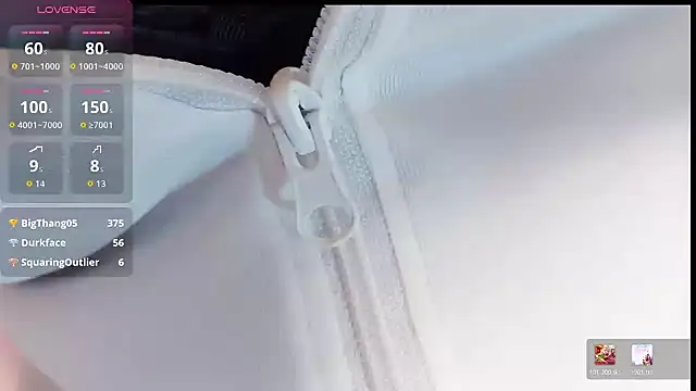 EE-01 webcam