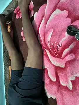 BullDominant_Master webcam