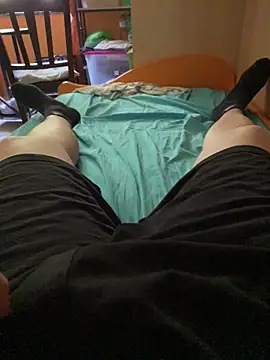 Dvddd webcam