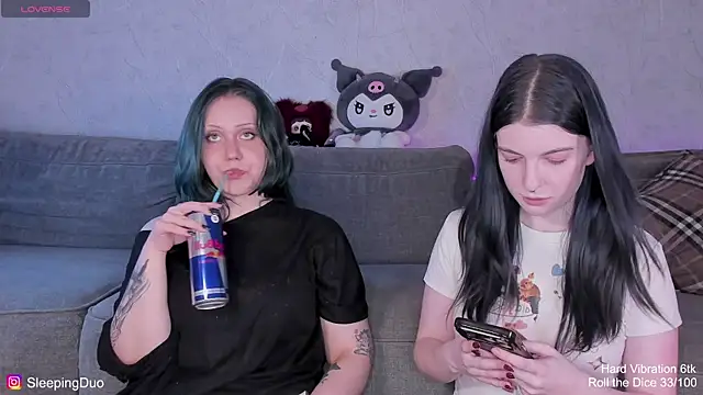 SleepingDuo webcam