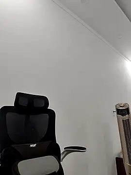 Fanritar webcam
