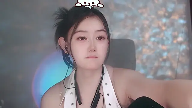 Mira-318 webcam
