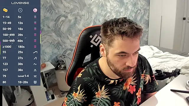 Morlaios webcam