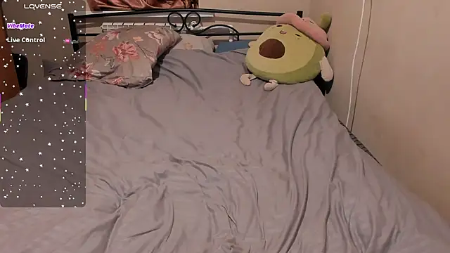 eva_zero webcam