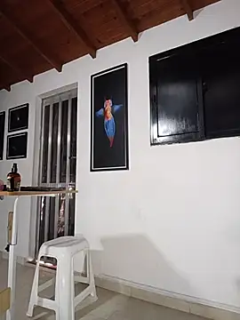 SilvaBranko webcam