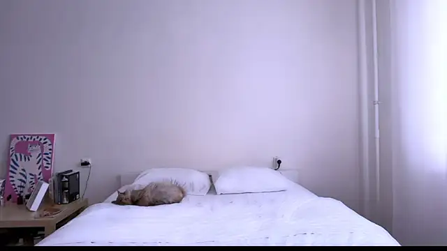 Milky___Way webcam