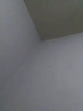 cobrosdepagos webcam