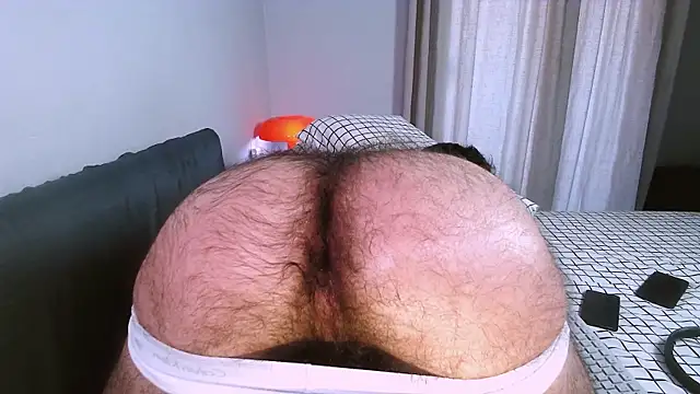 hairyzodb webcam