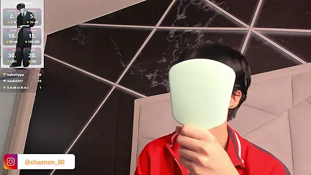 AerumChae Live Web Cam Show
