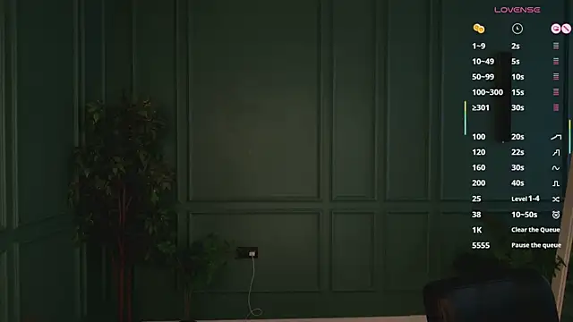hidden_charm_ webcam