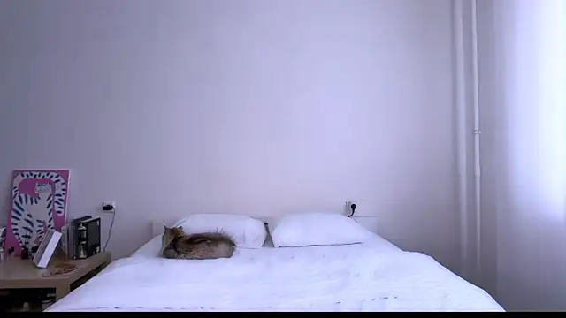 Milky___Way webcam
