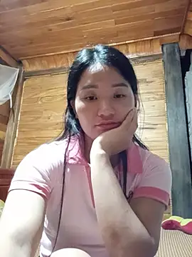 Td3di webcam