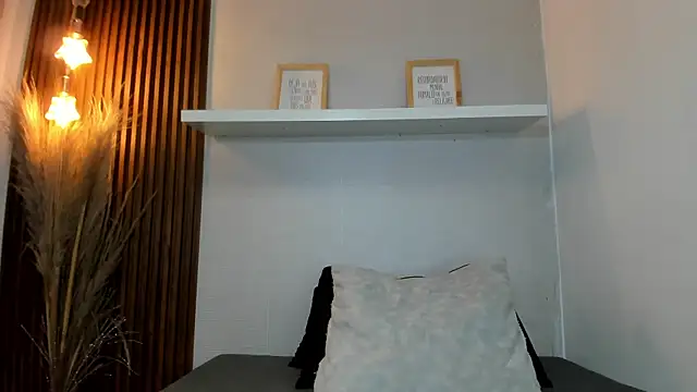 Norki_ webcam