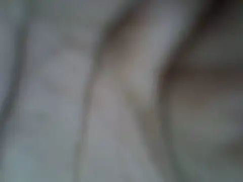 princess_ebony3 webcam