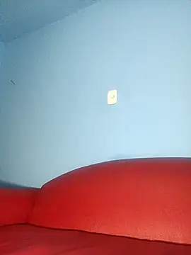 Noa_Phone webcam