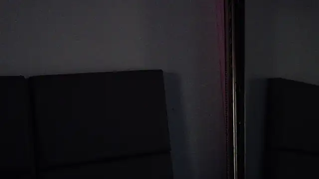 ParanoidTemptaion_ webcam