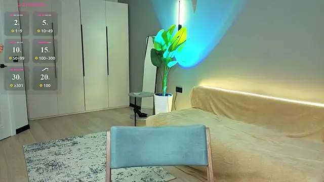 linakorvin webcam