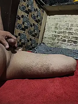Desi-lund11 webcam