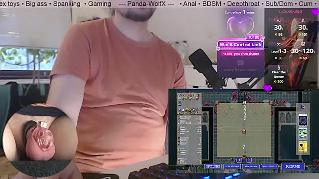 Panda-WolfX webcam