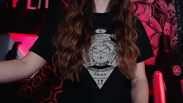 Silentmary webcam