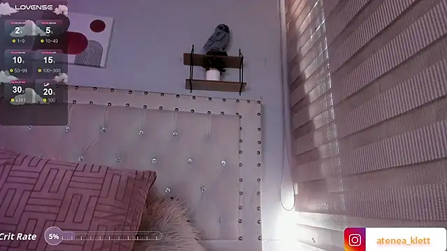 Atenea_Klett_ webcam