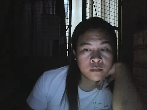sysy300 webcam