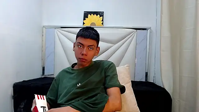Liarr_ webcam