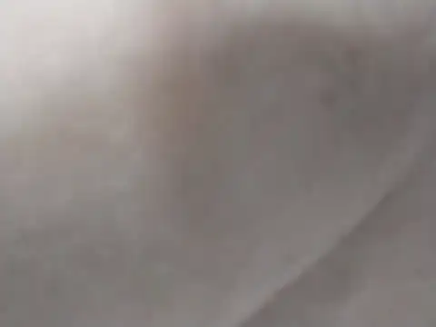 Gold_Galen webcam