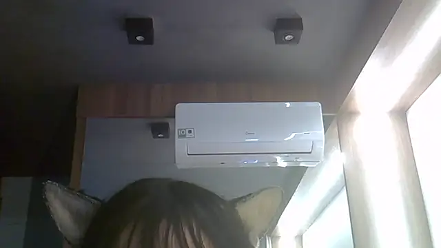 SkinnyKitten webcam