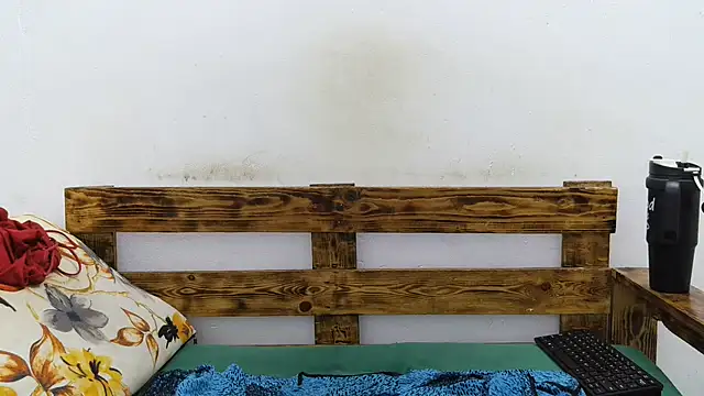 pinkycat webcam