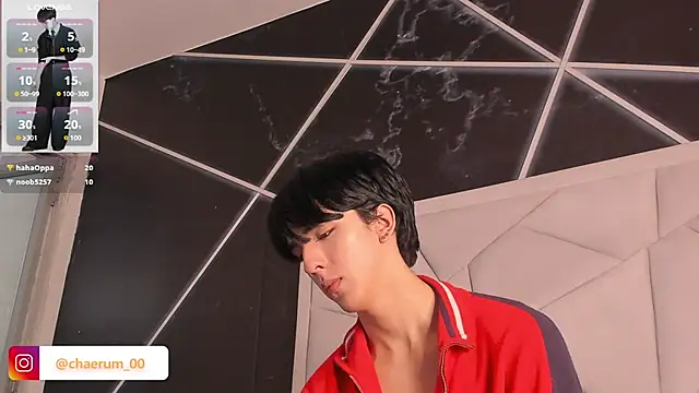 AerumChae Live Web Cam Show