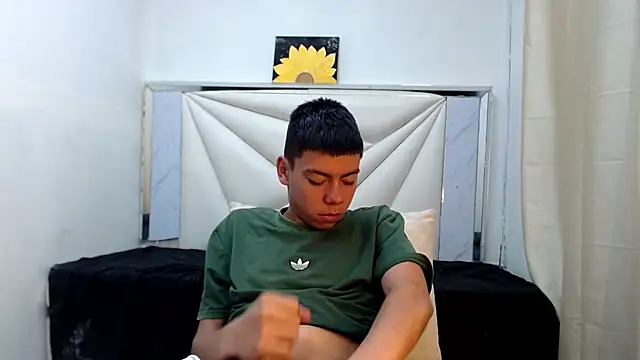 Liarr_ webcam