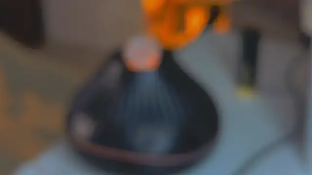 sinteas webcam