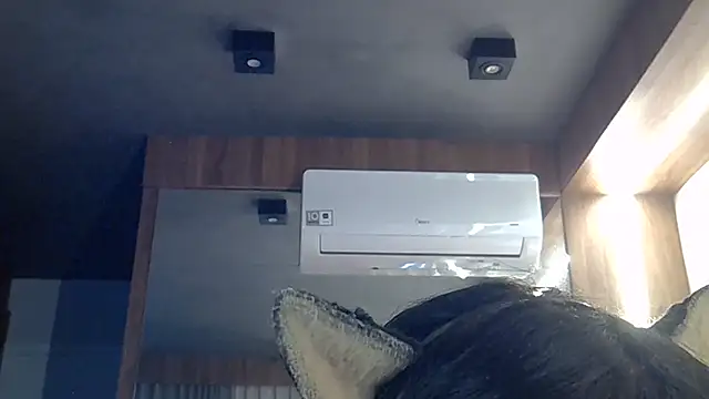SkinnyKitten webcam