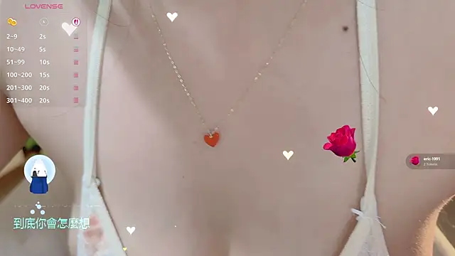 Vaidurya-Yolo webcam