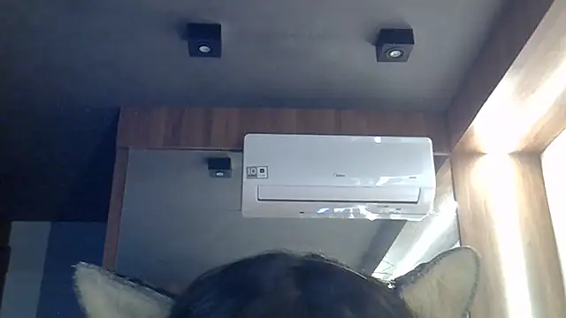 SkinnyKitten webcam