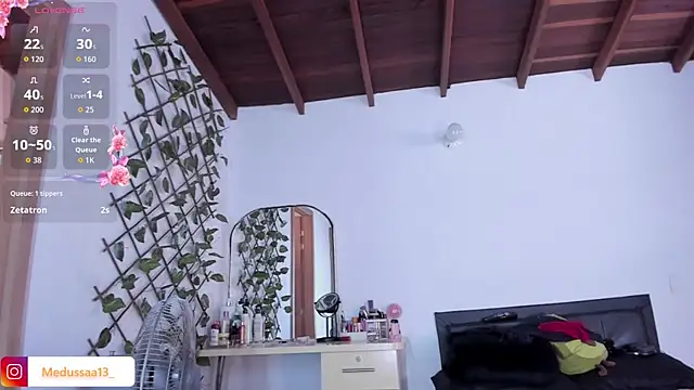 medussa13_ webcam