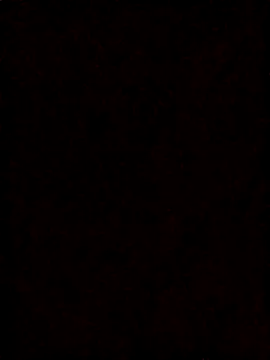 Pichula_rica webcam