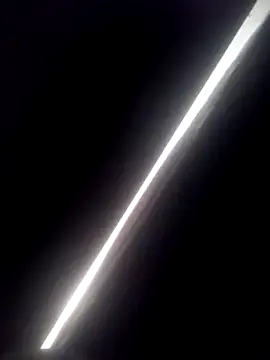 transreyna webcam