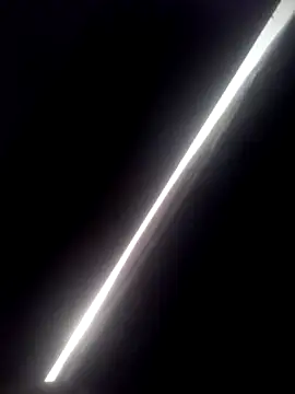 transreyna webcam
