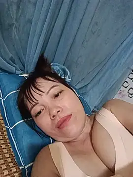 Sana-vn webcam