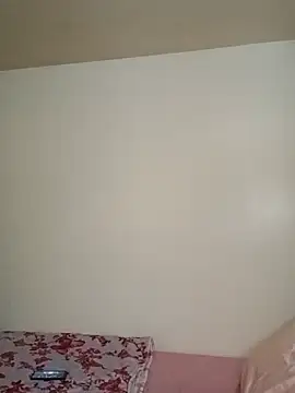Kimmikum webcam
