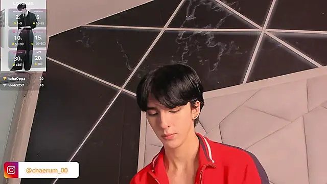 AerumChae Live Web Cam Show